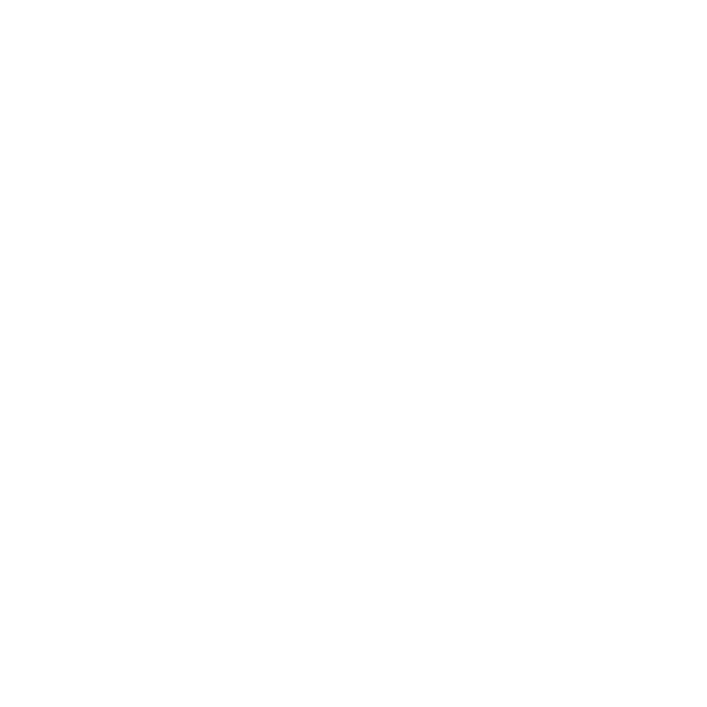 veiligheidsregio