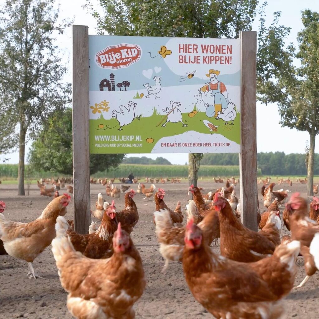 Instagram post from vormzuid. This post is in position 4.